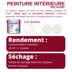 Peinture velours intérieure - Caractéristiques